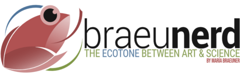 BraeuNERD: The ecotone between art and science, by María Braeuner. Logo.